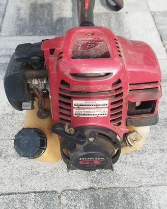DECESPUGLIATORE 