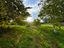 Immagine 30