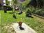 Immagine 8