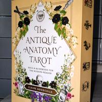 The Antique Anatomy Tarot