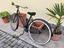 Immagine 5