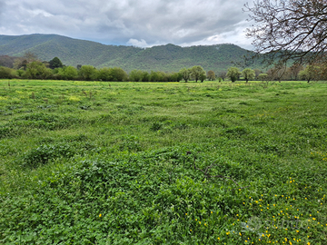 Terreno agricolo Velletri- Pian di gerri