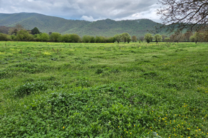 Terreno agricolo Velletri- Pian di gerri