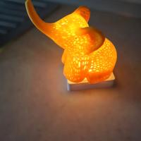 elefante portafortuna 