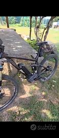 Bicicletta elettrica