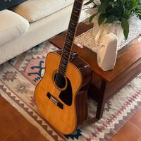 Chitarra 12 corde