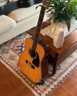 Chitarra 12 corde
