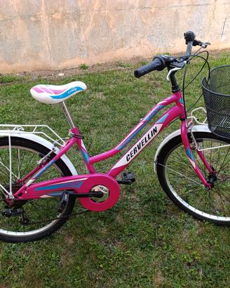 Bici Cervellin Lincy 24"