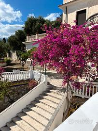 Villa panoramica