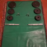 Manubri per palestra in casa + Dischi