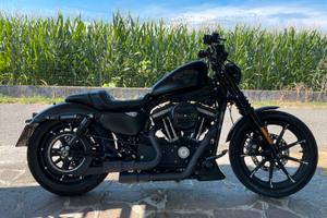 Harley Davidson XL 883 N Sportster Iron