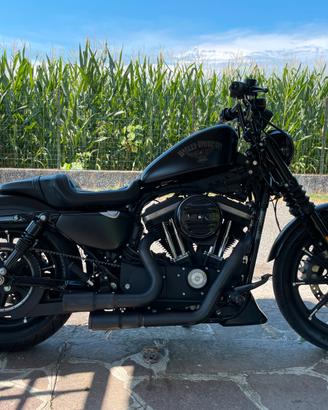 Harley Davidson XL 883 N Sportster Iron