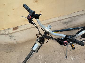 Bicicletta da uomo da passeggio in eccellenti