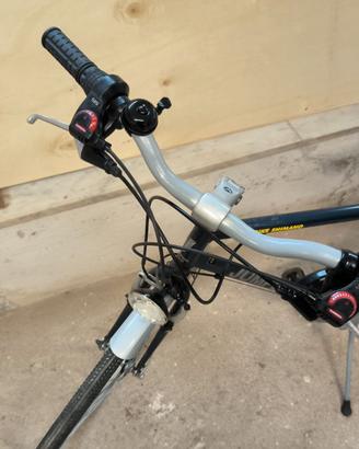 Bicicletta da uomo da passeggio in eccellenti