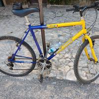 bicicletta italiana style cambio Shimano 3x6 18 ra