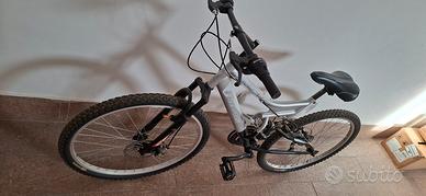 Mountaibike usata poco