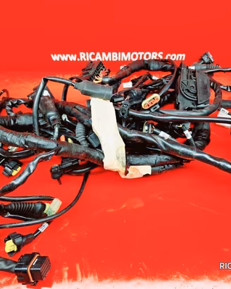 RICAMBI DUCATI MULTISTRADA 1200