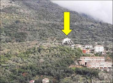 Maenza - Rif. asta 6569