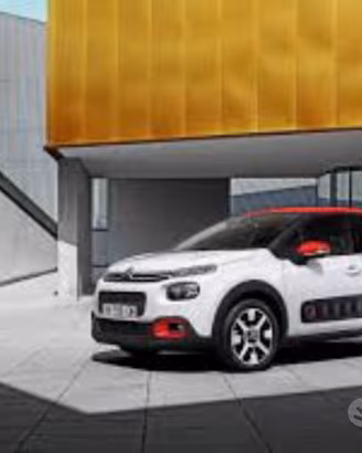 Ricambi usati Citroen C3 C4 C5 C1 C2 DS3 DS4 DS5