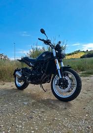 BENELLI Leoncino 500 trail 2023