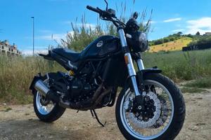 BENELLI Leoncino 500 trail 2023