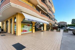 NEGOZIO A TORTORETO