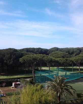 Follonica Settembre: fronte pineta di levante