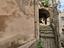 Immagine 28