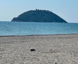 Agenzia Immobiliare Avviata Albenga sul mare