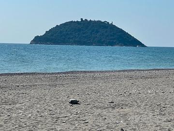 Agenzia Immobiliare Avviata Albenga sul mare