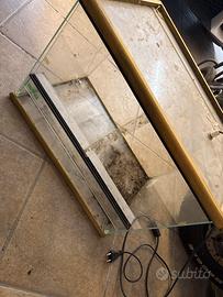 Terrario con sede lampada