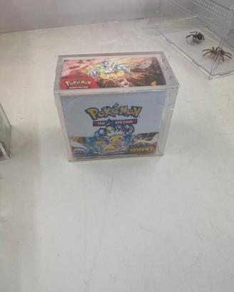 Teca plex Booster Pokemon display ita Magneti