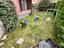 Immagine 16