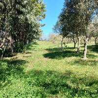 Terreno - Località Badu Canu/Osilo