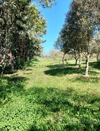 Terreno - Località Badu Canu/Osilo