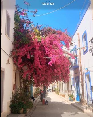 Bivani in pieno centro a San Vito Lo Capo