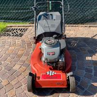 RASAERBA CASTELGARDEN R 484