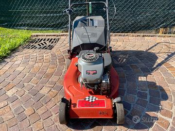 RASAERBA CASTELGARDEN R 484