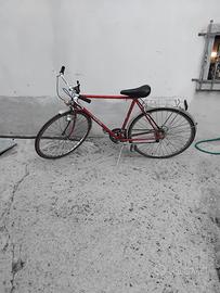 bicicletta rudi altig
