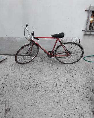 bicicletta rudi altig