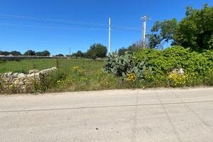 Terreni e fabbricato rurale, prezzo privato