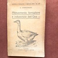 Allevamento dell’oca - A. Gemignani - 1920