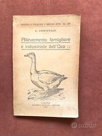 Allevamento dell’oca - A. Gemignani - 1920