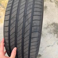 Pneumatici estivi michelin primacy