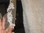 Immagine 6