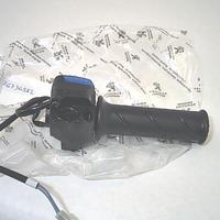MANOPOLA GAS CON PULSANTE AVVIAMENTO PEUGEOT 76736