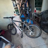 Biciclette Mountain Bike e classiche