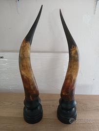 Coppia Corni Antichi, Grandi con Base -Epoca penso