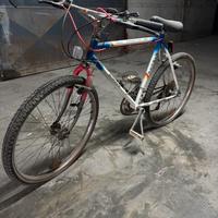 bici airolg