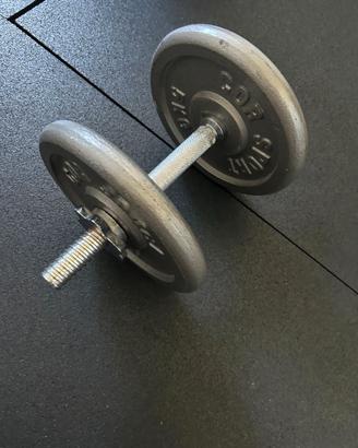 MANUBRIO CARICABILE E COPPIA DISCHI 5 KG